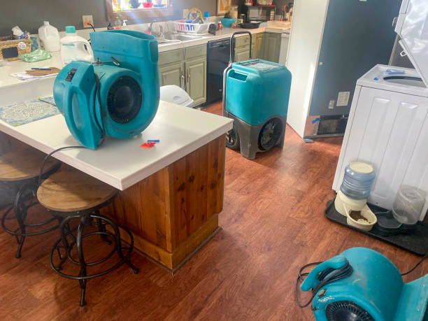 Best Water damage restoration specialists  in Larksville, PA