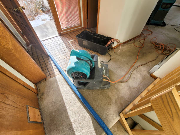 Best Ceiling water damage repair  in Larksville, PA