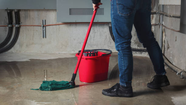  Larksville, PA Water damage restoration Pros