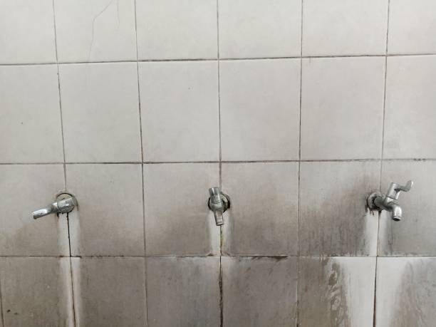 Best Sewage cleanup and water damage restoration  in Larksville, PA