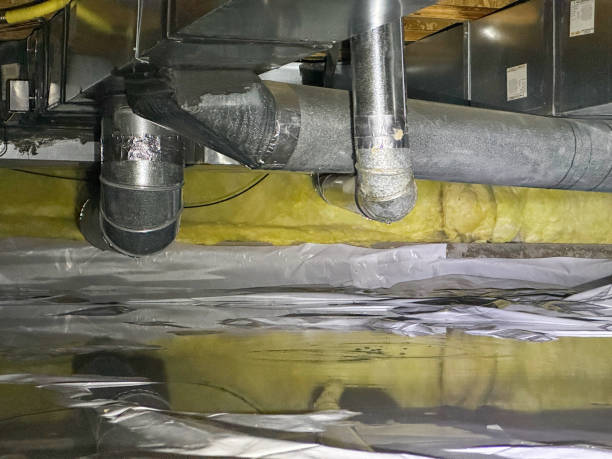 Best Local water damage restoration  in Larksville, PA