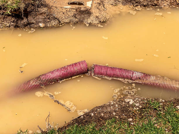 Best Water damage contractors near me  in Larksville, PA