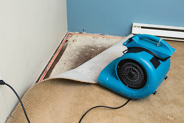 Best Flooded house restoration  in Larksville, PA